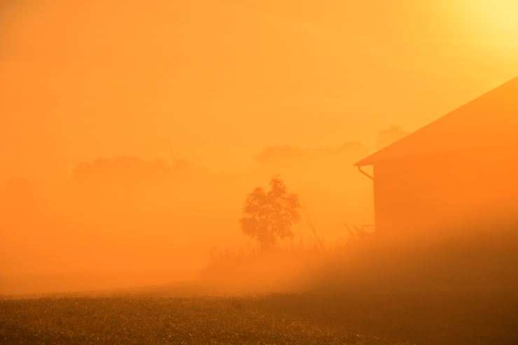 A misty field, tinted orange