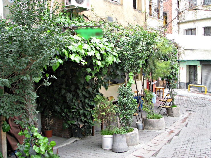 The entrance to a café from a brick street, the doorway overgrown with foliage, and a handful of empty folding chairs along the wall