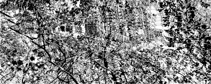 A black-and-white abstract painting, resembling both foliage and shattered, repetitive scenes
