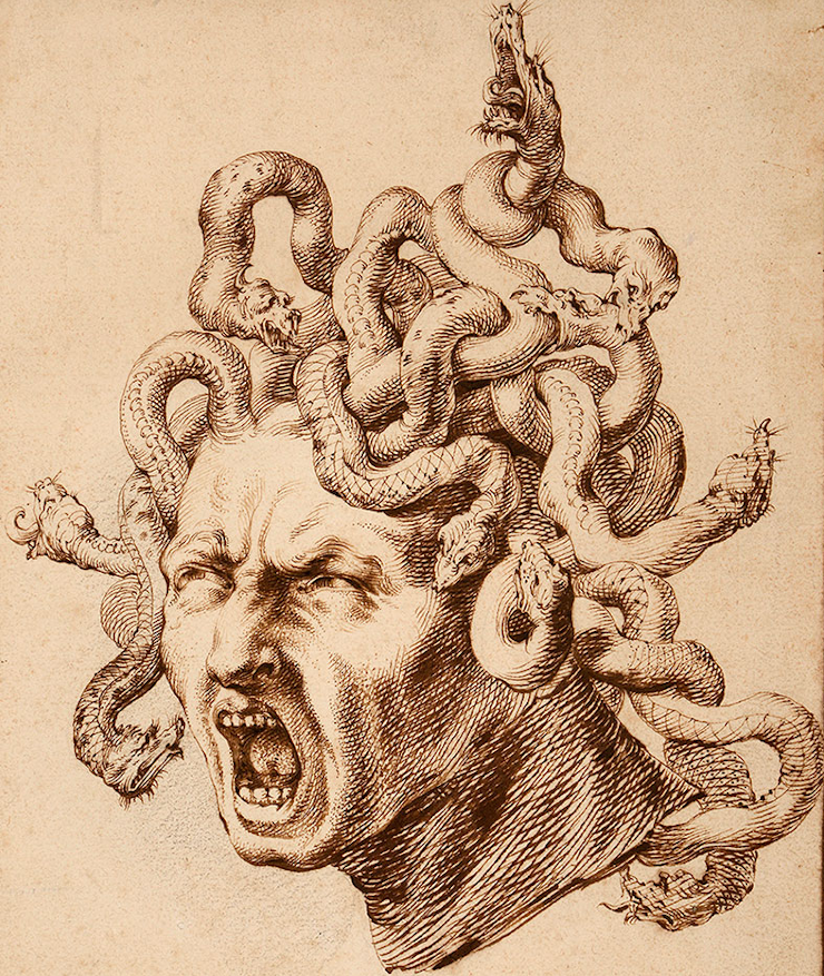 Head of Medusa