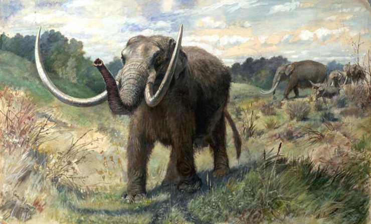 A reconstruction (painting) of an American mastodon