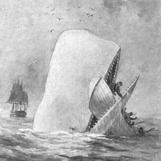 Moby-Dick attacking a whaling ship