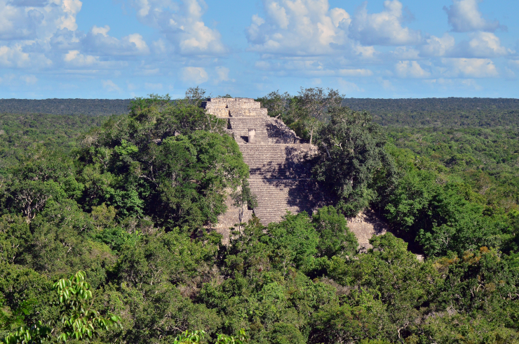 The pyramid at Calakmul, emerging from the tree canopy
