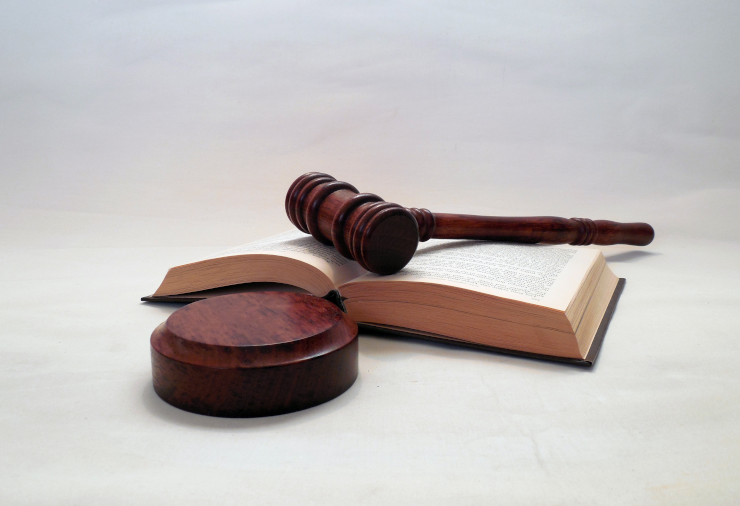 A gavel resting on an open book