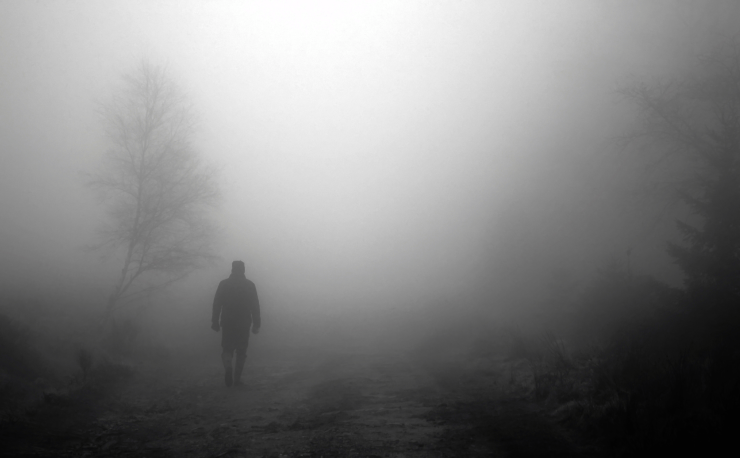 A shadowy figure standing in a foggy field