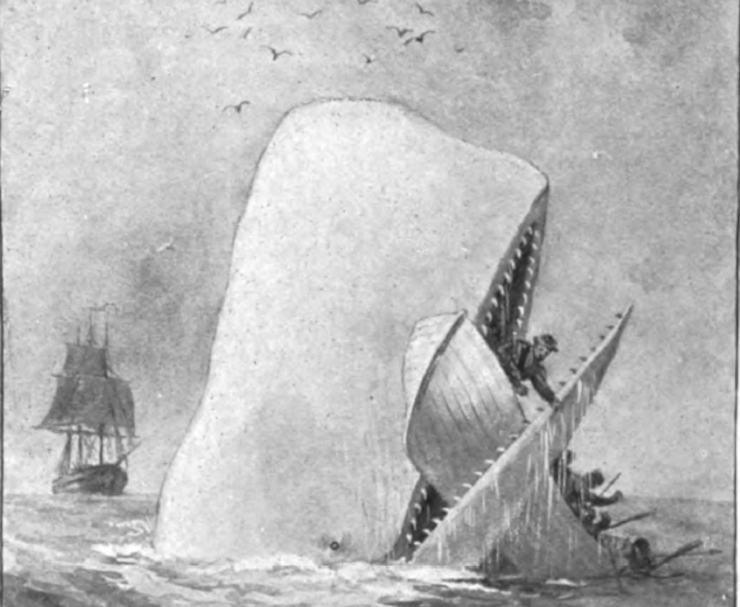 An illustration of Moby-Dick destroying a whaling boat
