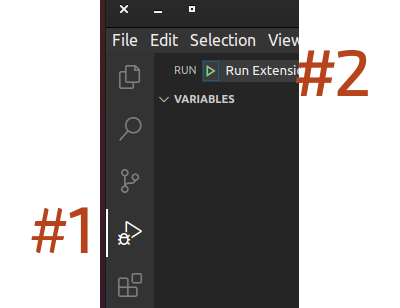 Run VSCode with the extension